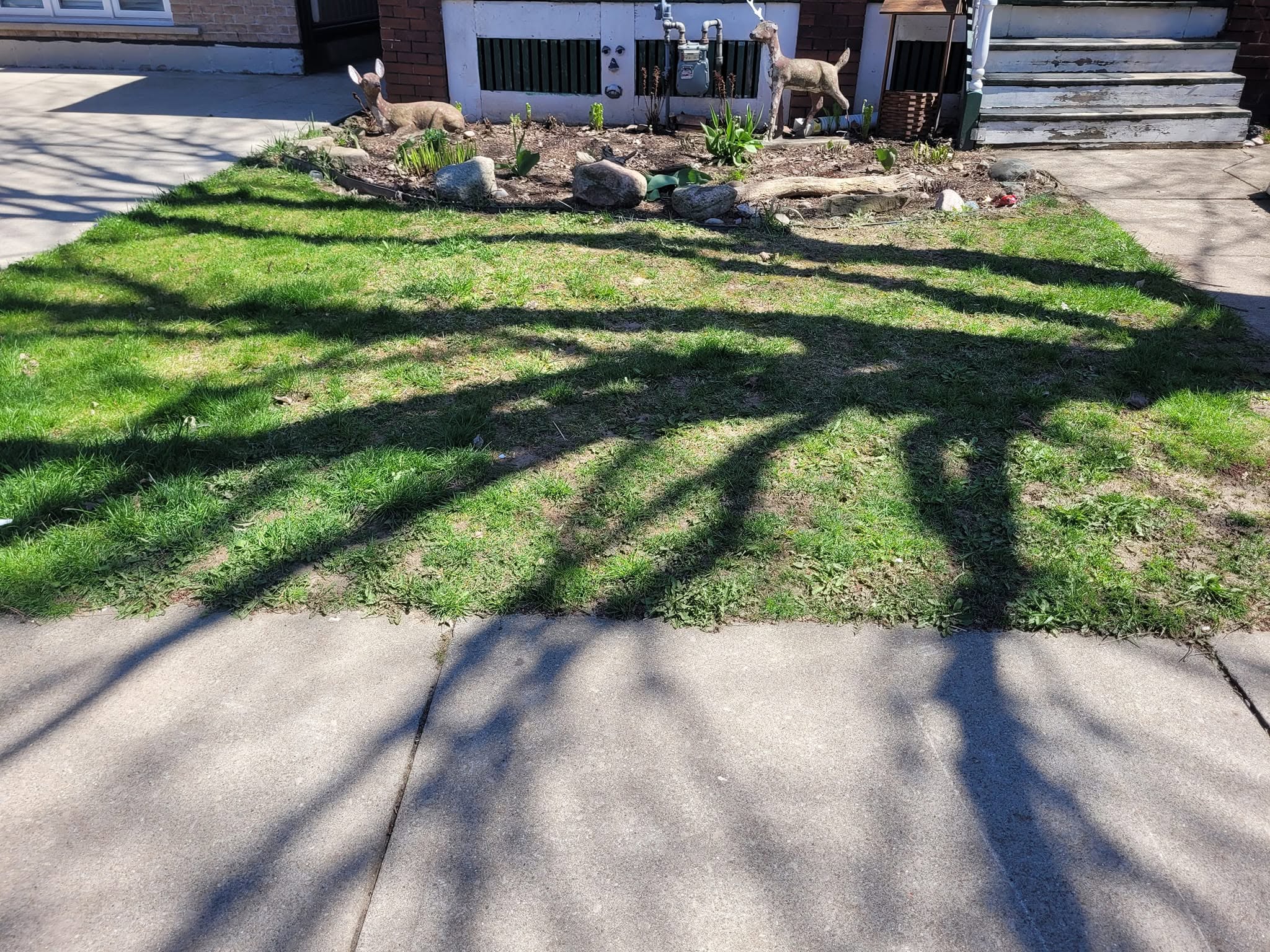 Sudbury Ontario lawn showing years of accumulated neglect lag in soil structure and grass health