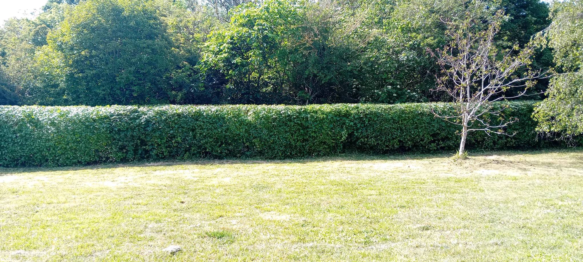 Sudbury Ontario lawn transition spring to summer heat stress beginning June