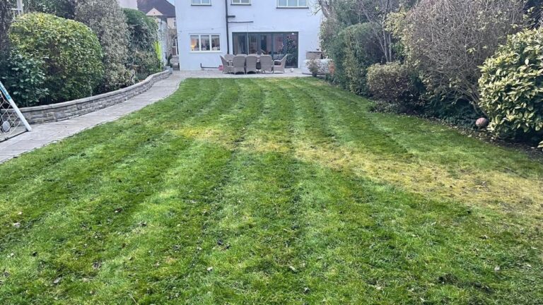The Sudbury Lawn Problem Nobody Names But Everybody Has