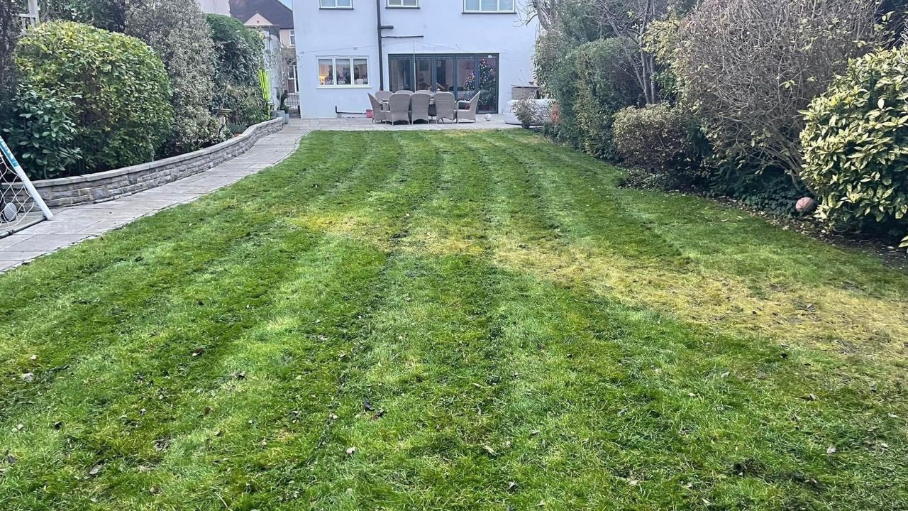 Sudbury Ontario lawn with unnamed underlying problem affecting grass health across the property