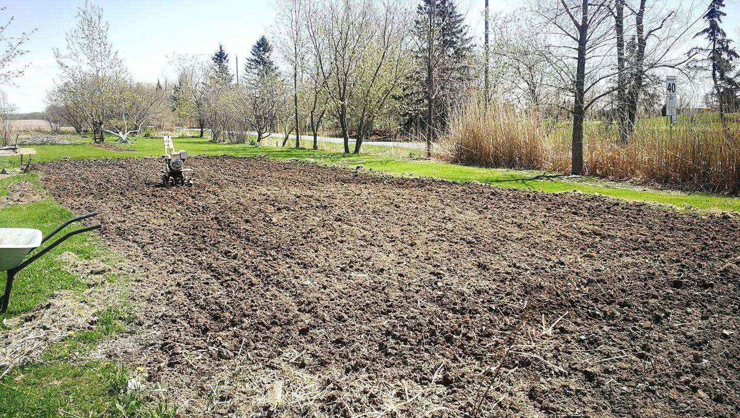 Sudbury clay soil Canadian Shield lawn care