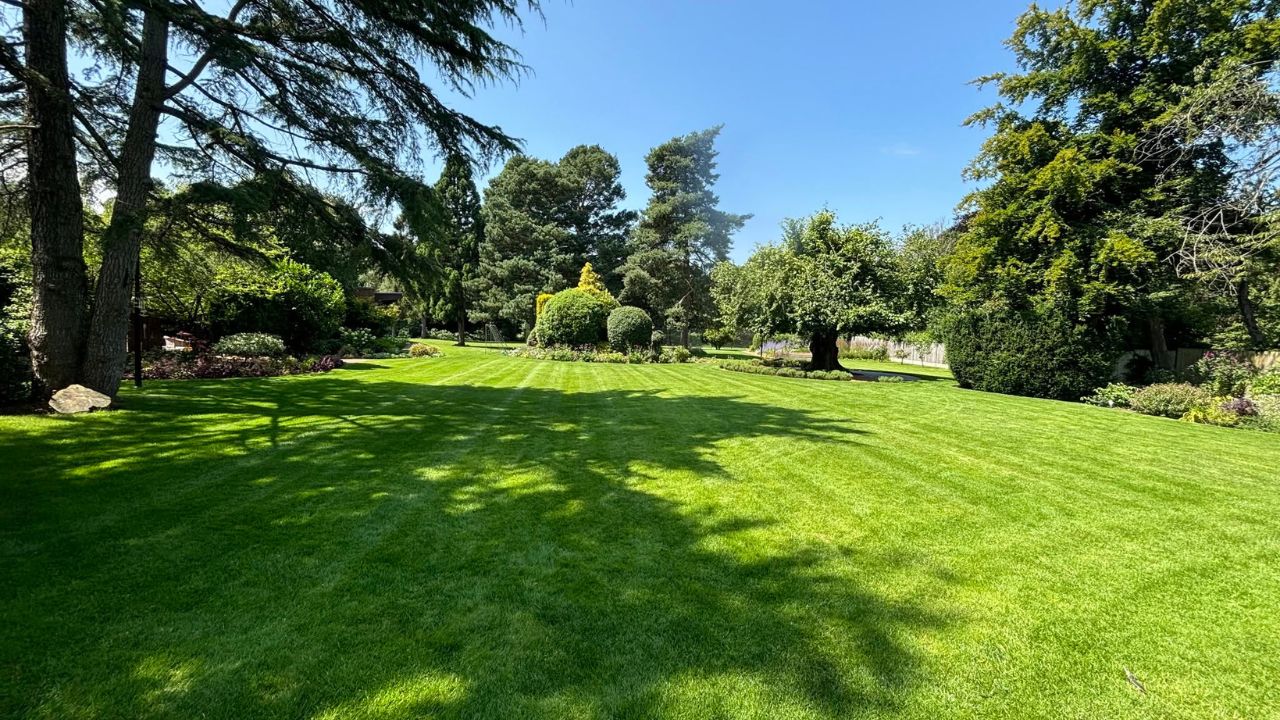 Sudbury home with well prepared lawn before owners leave for winter