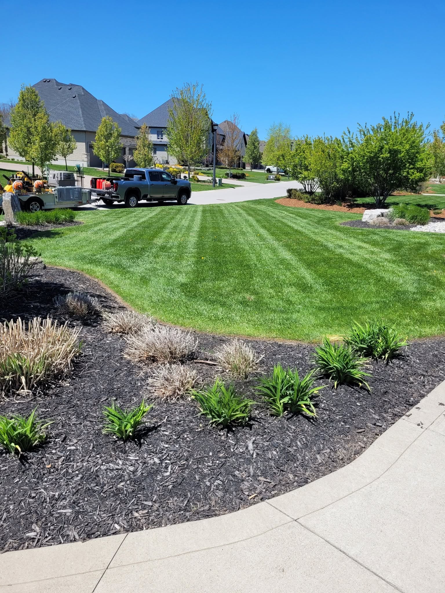Sudbury homeowner returning in spring to assess winter lawn damage