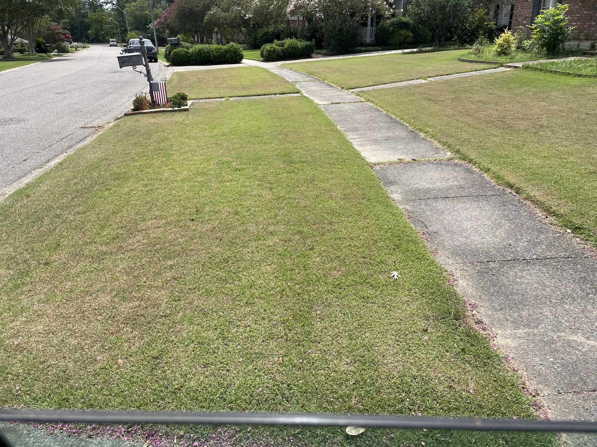 Sudbury lawn drought stress without proper irrigation system