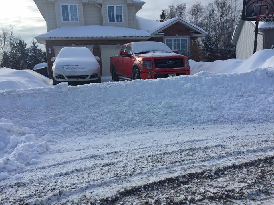 Sudbury residential lawn in November before snowbird owners depart