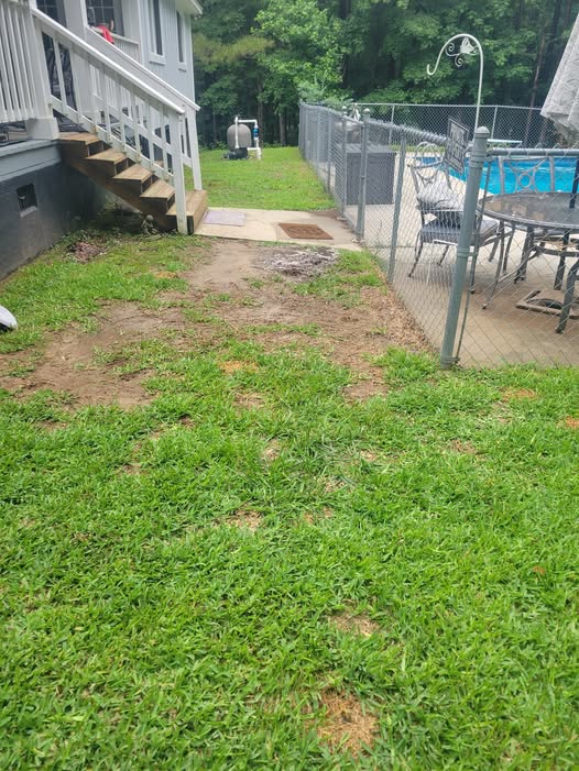 Sudbury residential lawn in peak early June growing condition