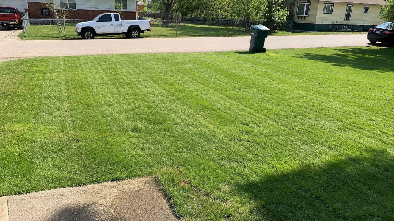 Sudbury residential lawn restored without sod installation