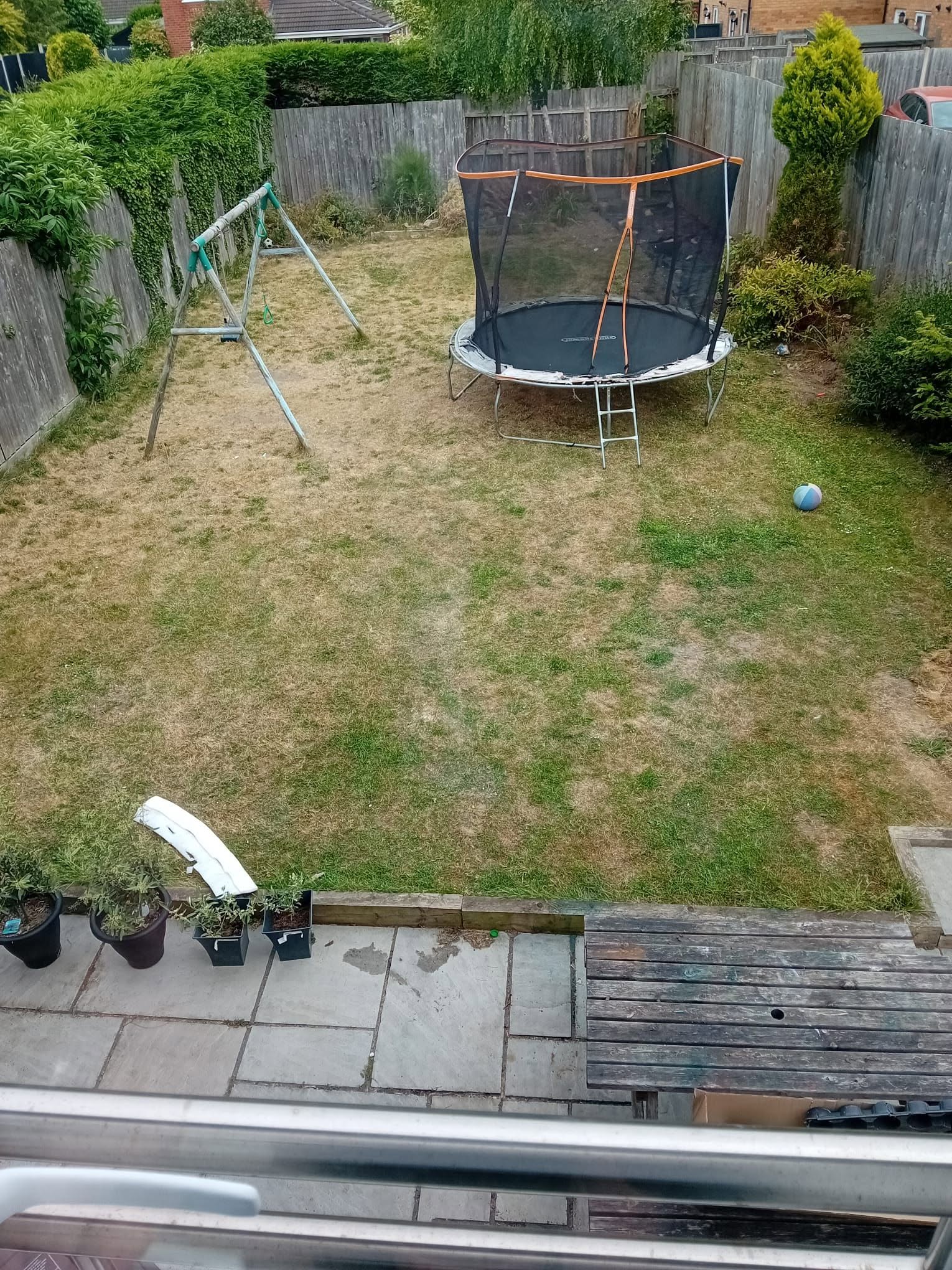 Sudbury south facing backyard showing differential lawn death pattern in summer