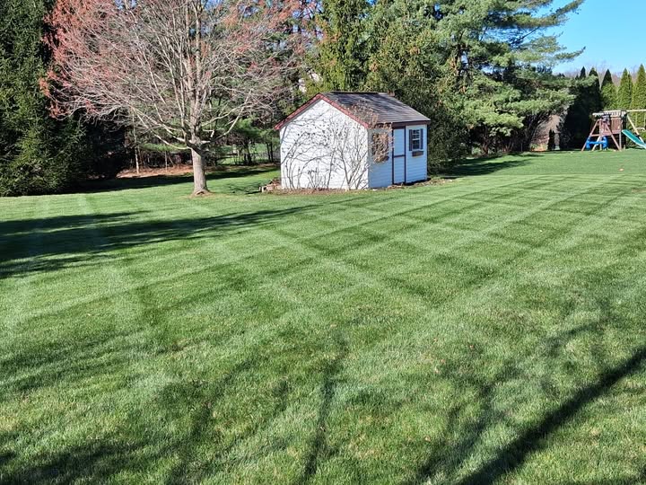 Thick green lawn cut at correct height on a Sudbury Ontario residential property in summer