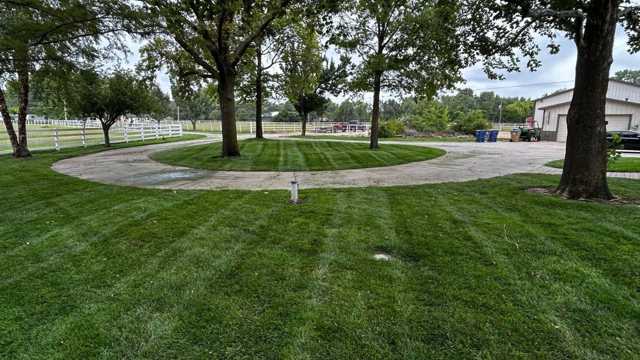 Thick healthy lawn after years of consistent professional care in Greater Sudbury Ontario