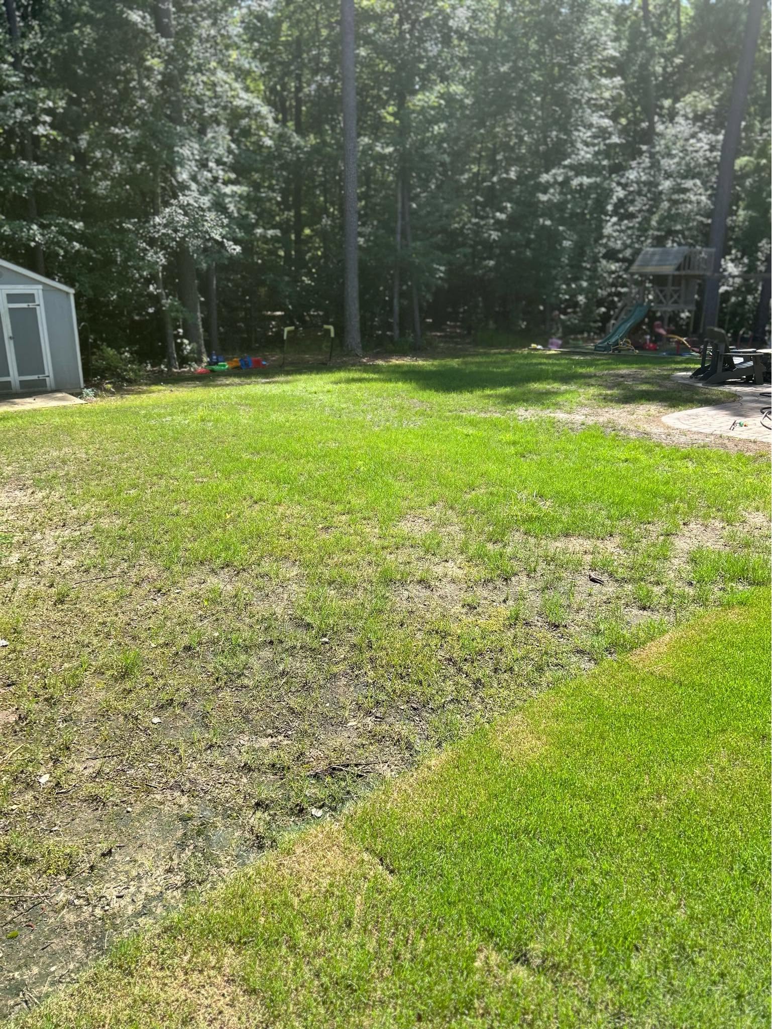 Thin compacted Sudbury lawn that doesn't need sod replacement