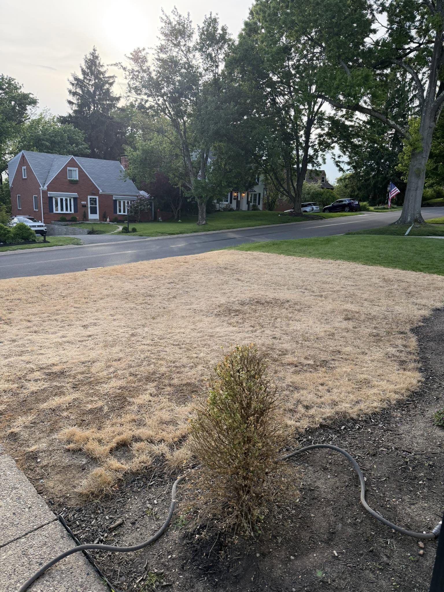 Thin dry soil under new sod on Canadian Shield Sudbury property