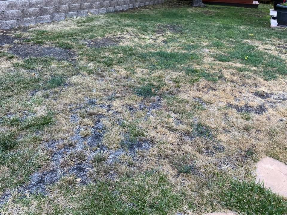 Thin patchy lawn on a Sudbury Ontario residential property showing decline over time