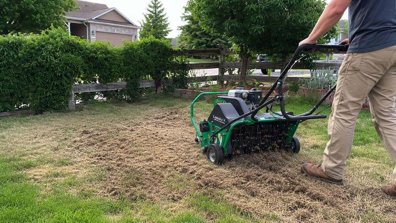 Thin stressed lawn in Lively Ontario in September — Cutting Edge Lawn and Landscaping Garson