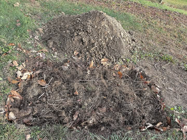Thin topsoil layer over rock on Sudbury residential lot
