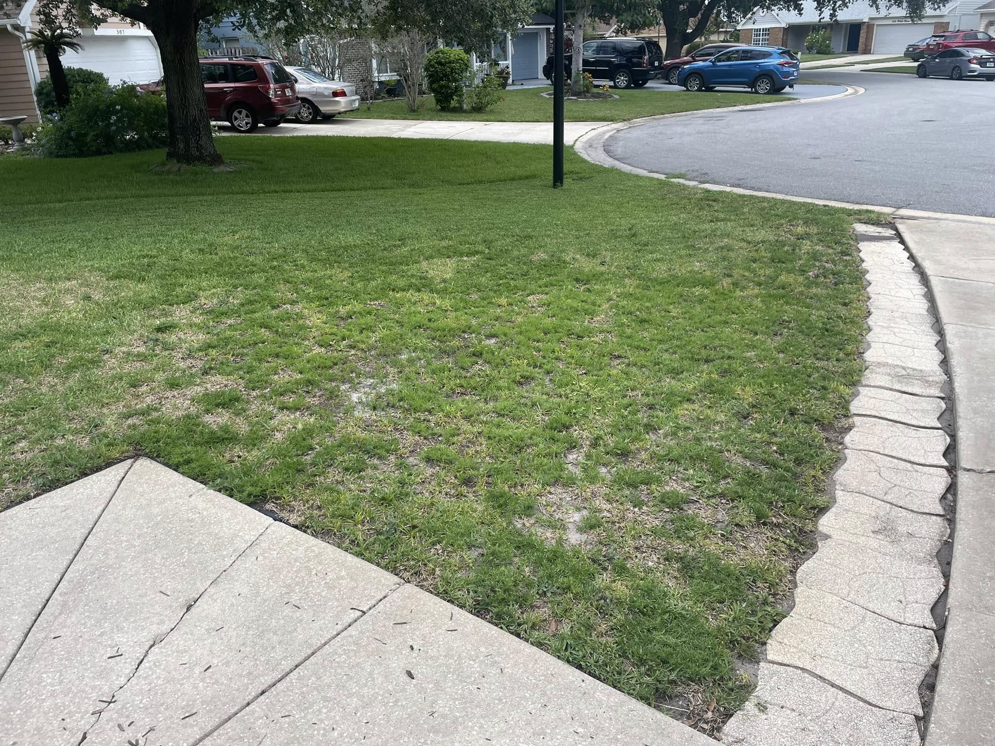 Two residential lawns in Greater Sudbury Ontario with different conditions