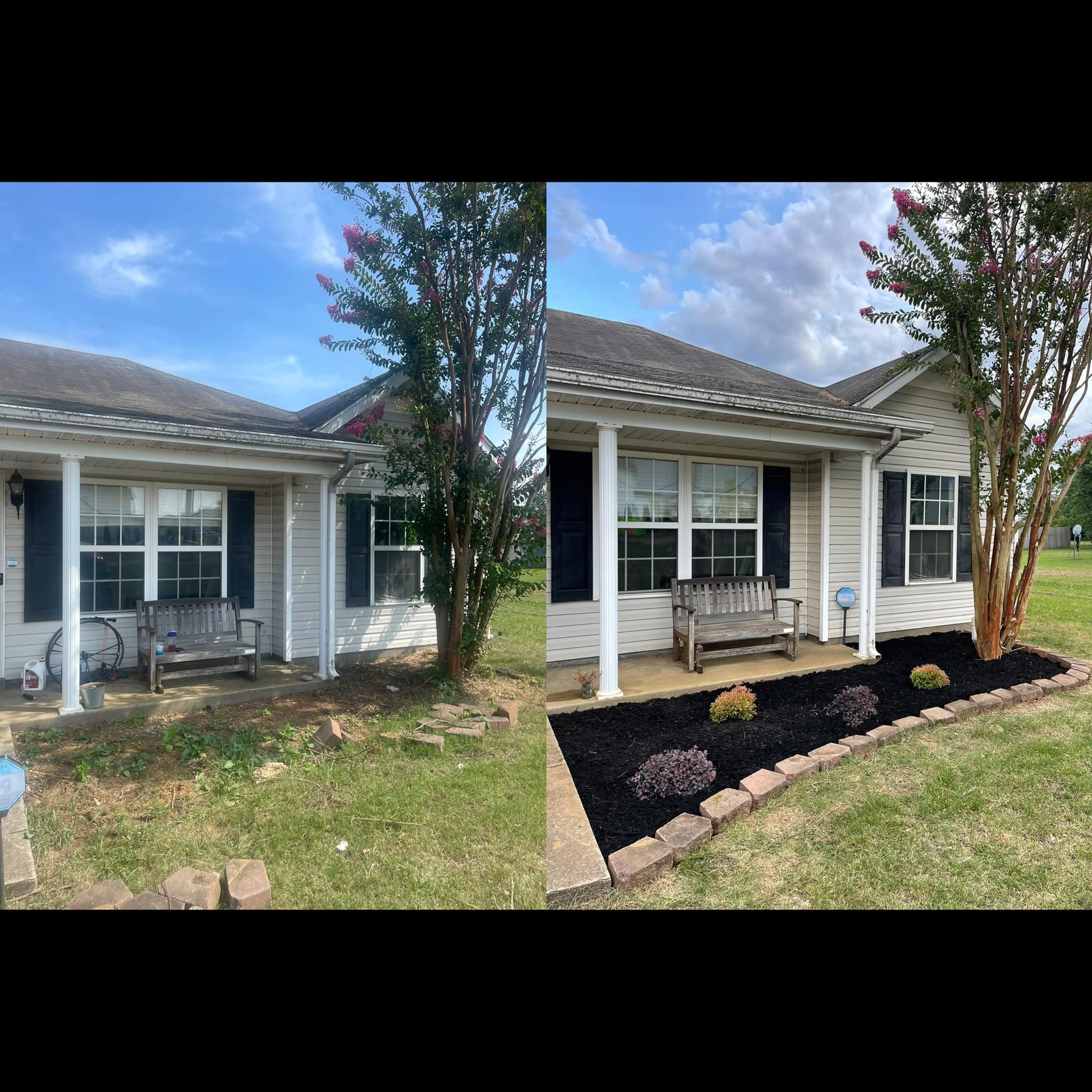 Two restored residential lawns side by side Greater Sudbury Ontario after