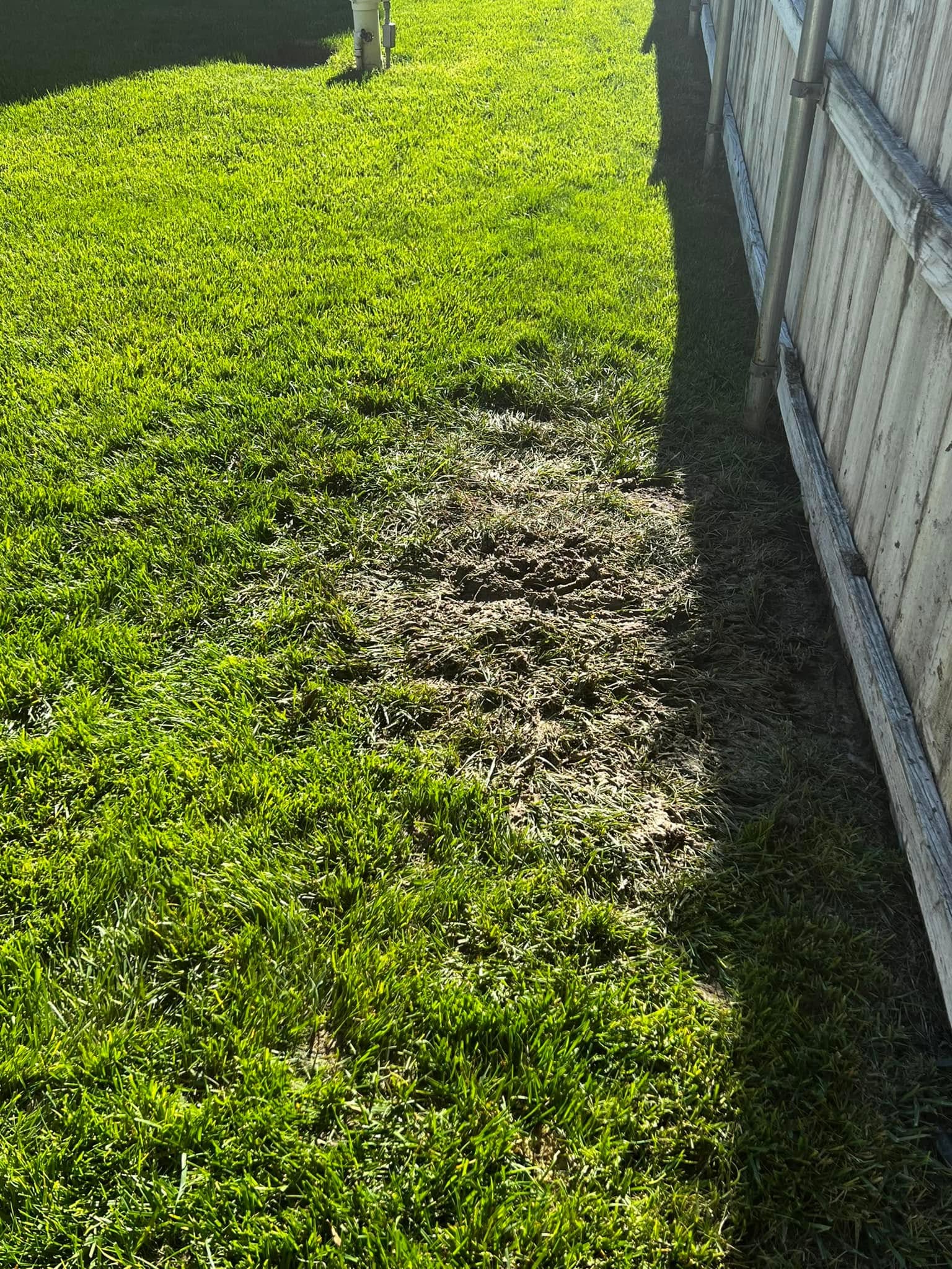 Underground lawn problem invisible surface Sudbury Ontario why contractors miss