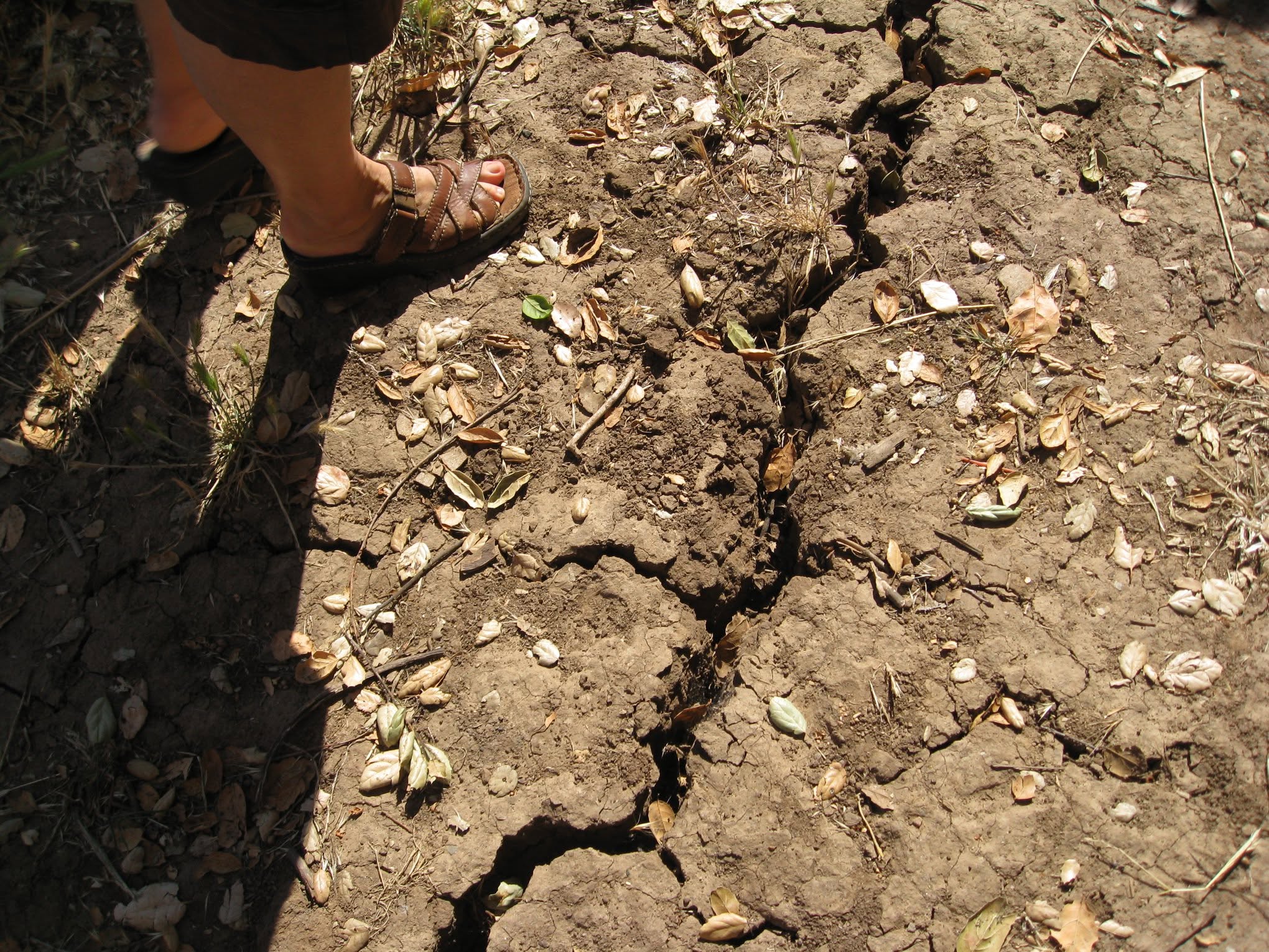 Underground soil compaction progression on Sudbury Ontario lawn that skipped one year of core aeration