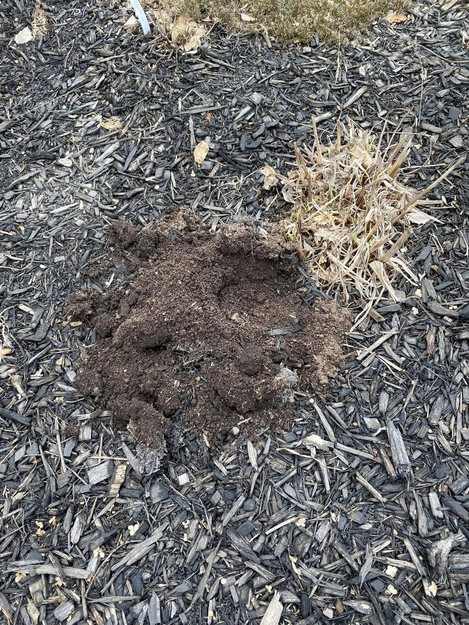 Underground soil layer difference neighbouring properties Sudbury Ontario hidden cause