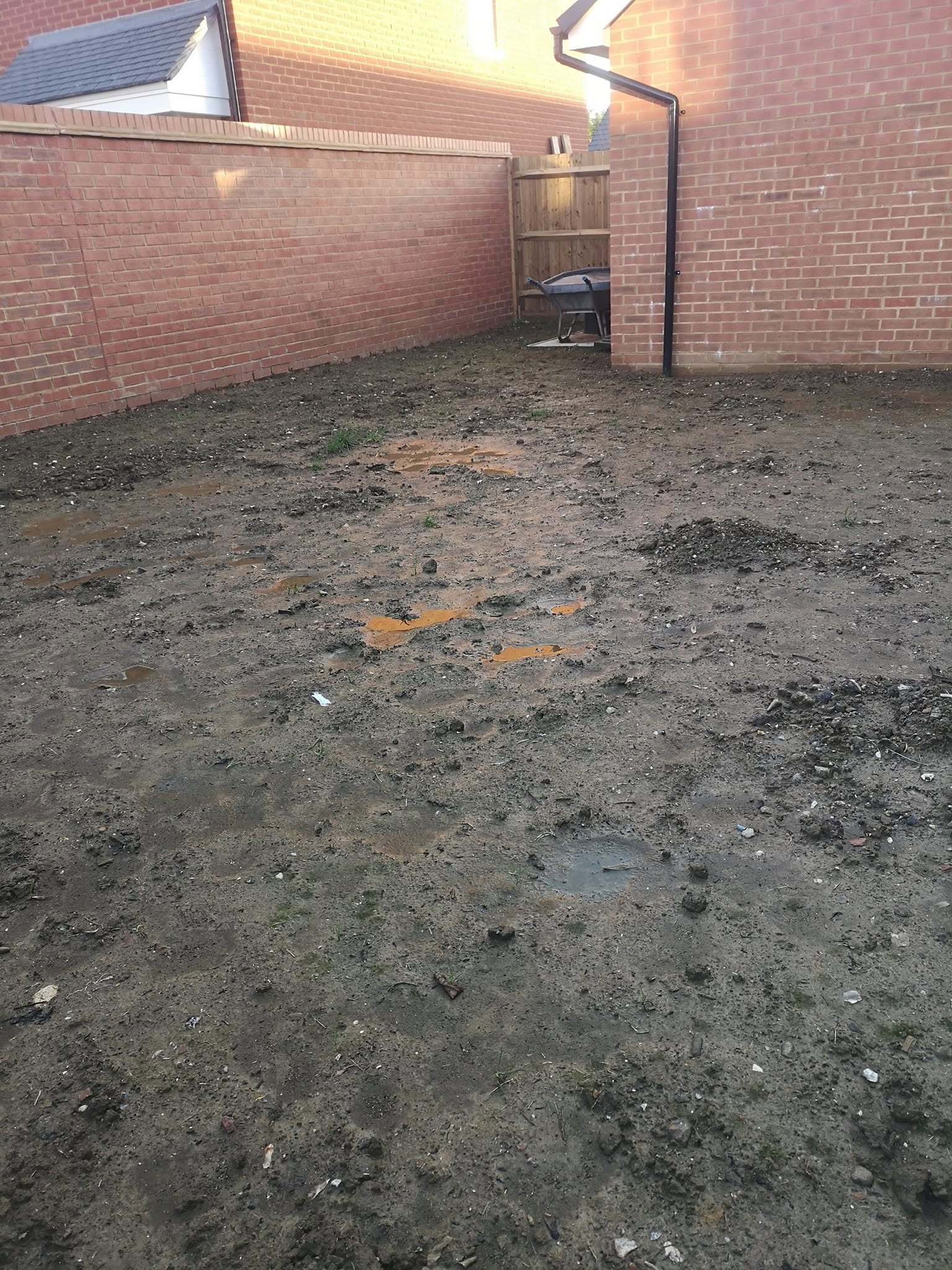 Unrooted failing sod lifting off compacted soil at a new build property in Sudbury Ontario