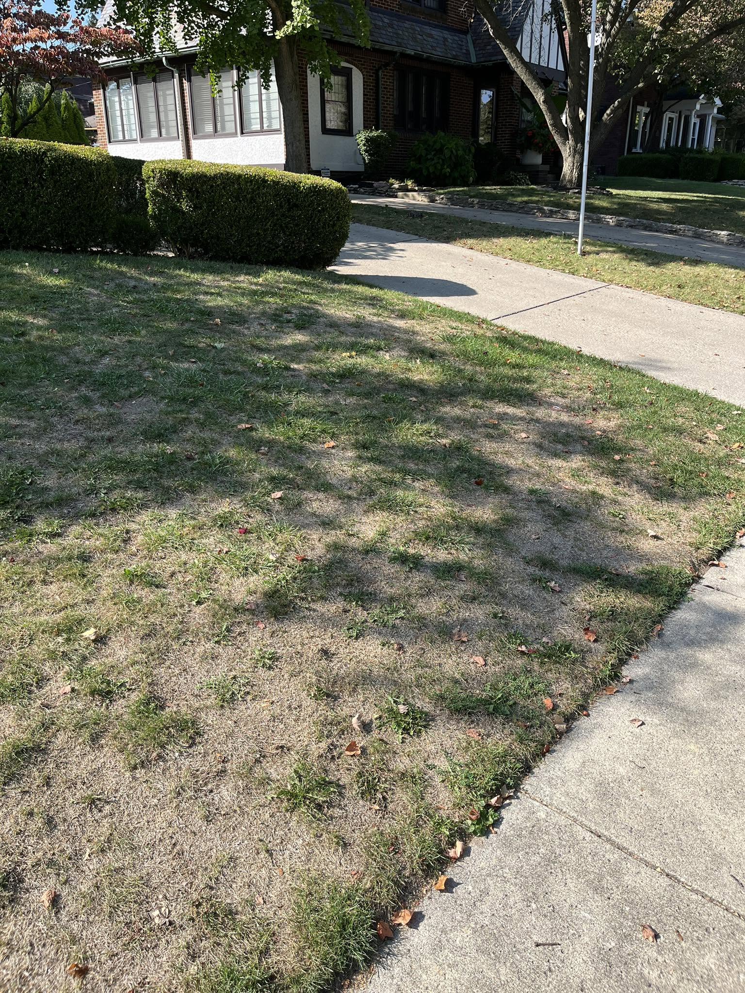 Unusual soil condition residential lawn Greater Sudbury Ontario unexpected sod problem