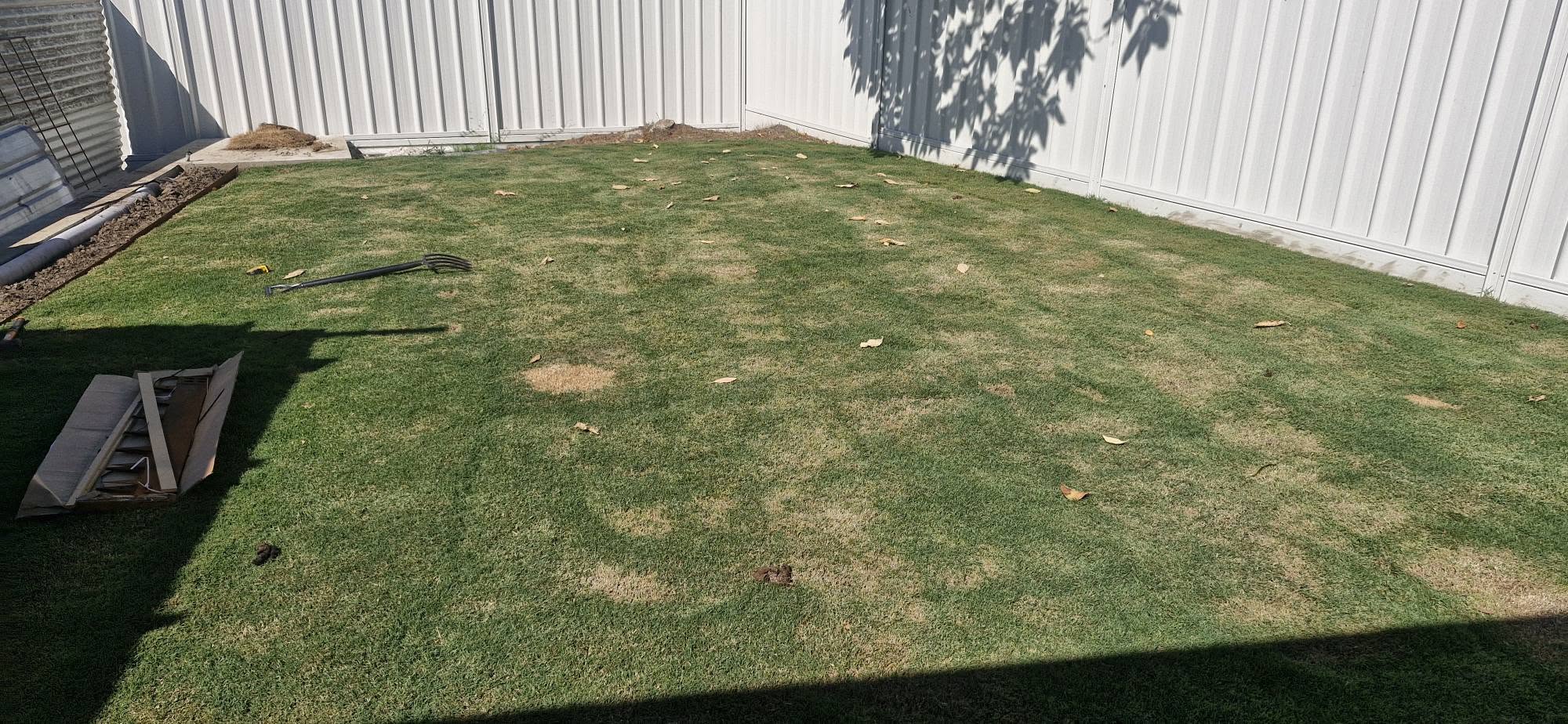 Val Caron Sudbury lawn showing visible improvement after first season of correct care