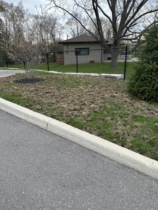 Val Caron Sudbury lawn with grub damage and drainage pooling in spring