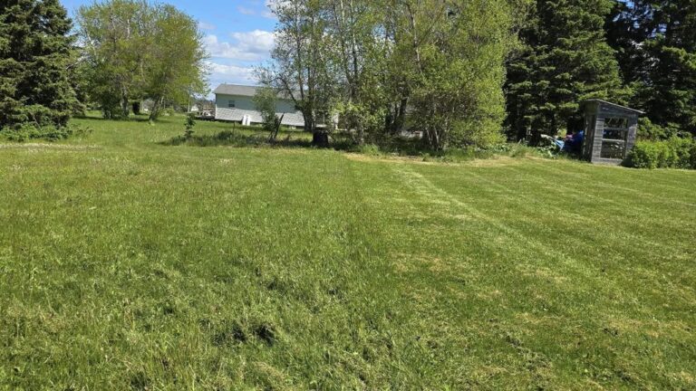 The Walden Neighbourhood Lawn Care Pattern I Noticed After 3 Summers