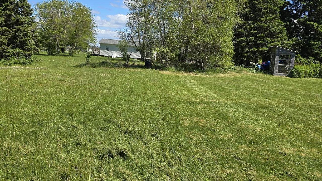 Walden Sudbury Ontario neighbourhood lawn showing recurring lawn care patterns after 3 summers