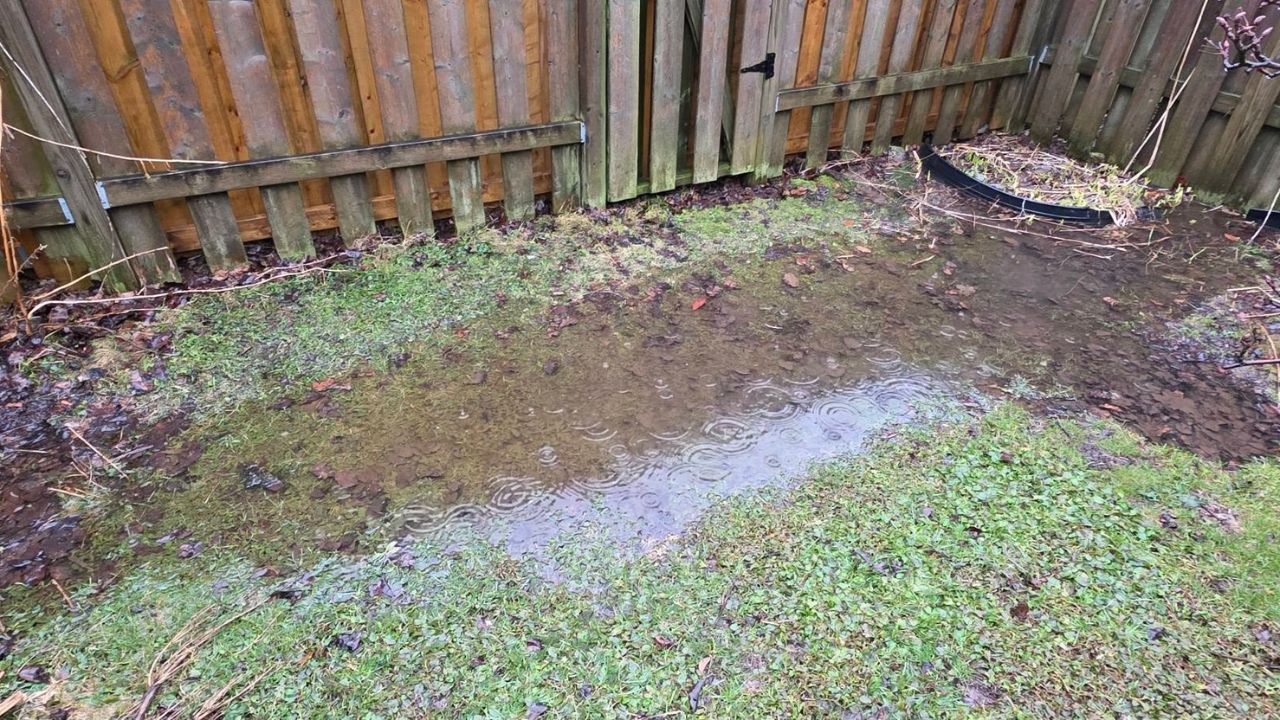 Water pooling in backyard lawn in Sudbury Ontario showing common drainage problem