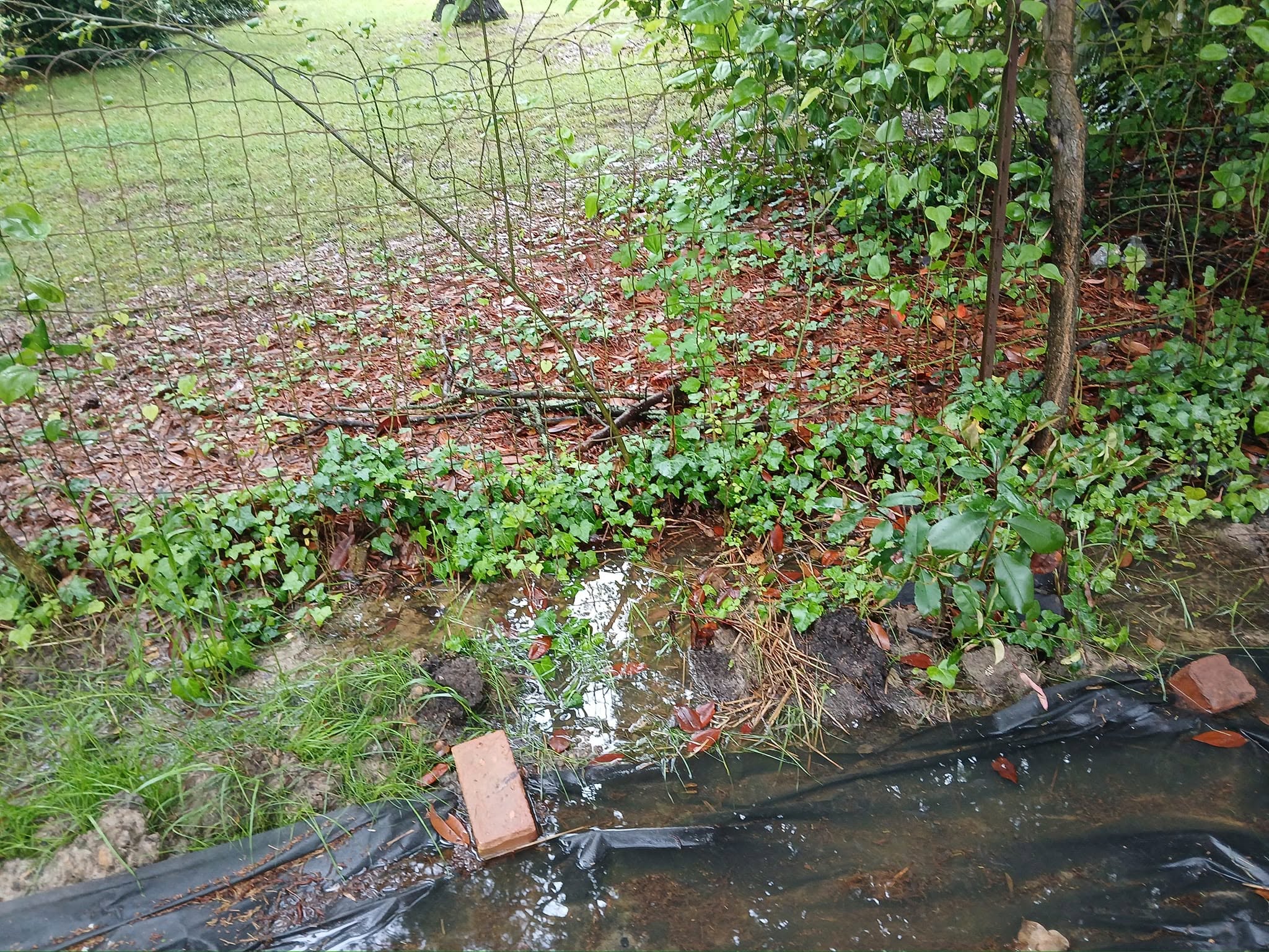 Water pooling near a property line after construction grading changes in Sudbury