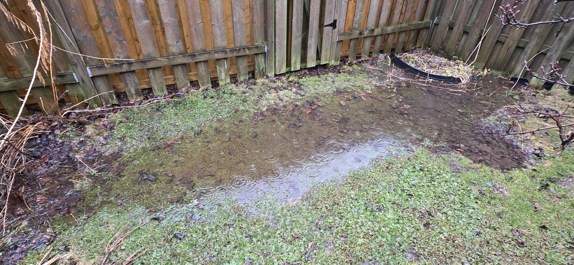 Water pooling on Sudbury lawn due to shallow bedrock drainage