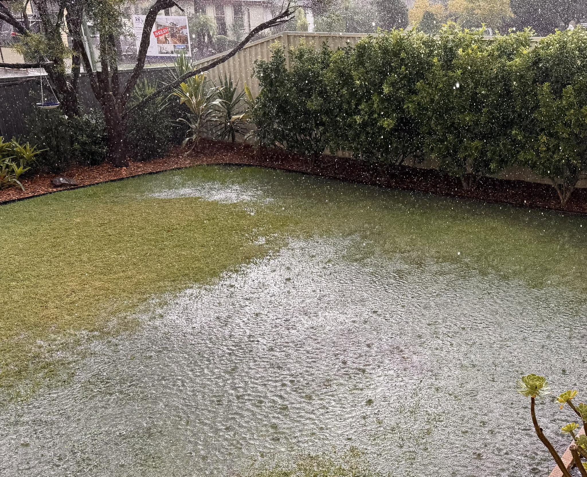 Water runoff on compacted Sudbury clay lawn poor drainage