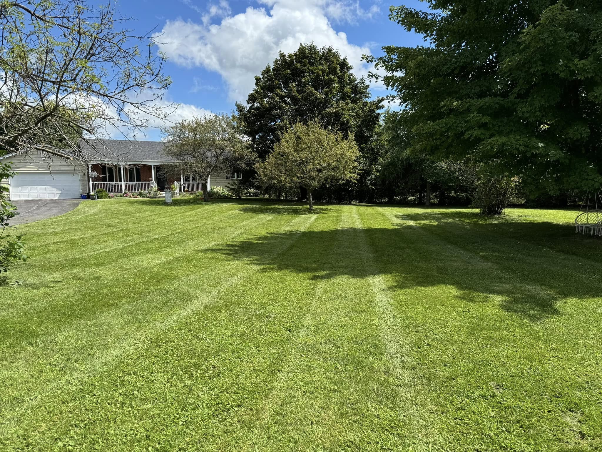 Weekly grass cutting schedule being maintained on a Sudbury residential property