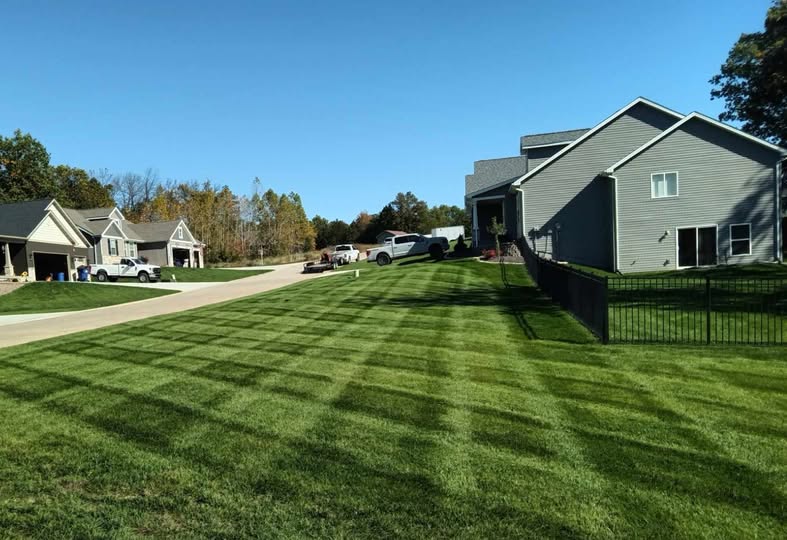 Well maintained Sudbury Ontario residential lawn during first season of professional lawn care service