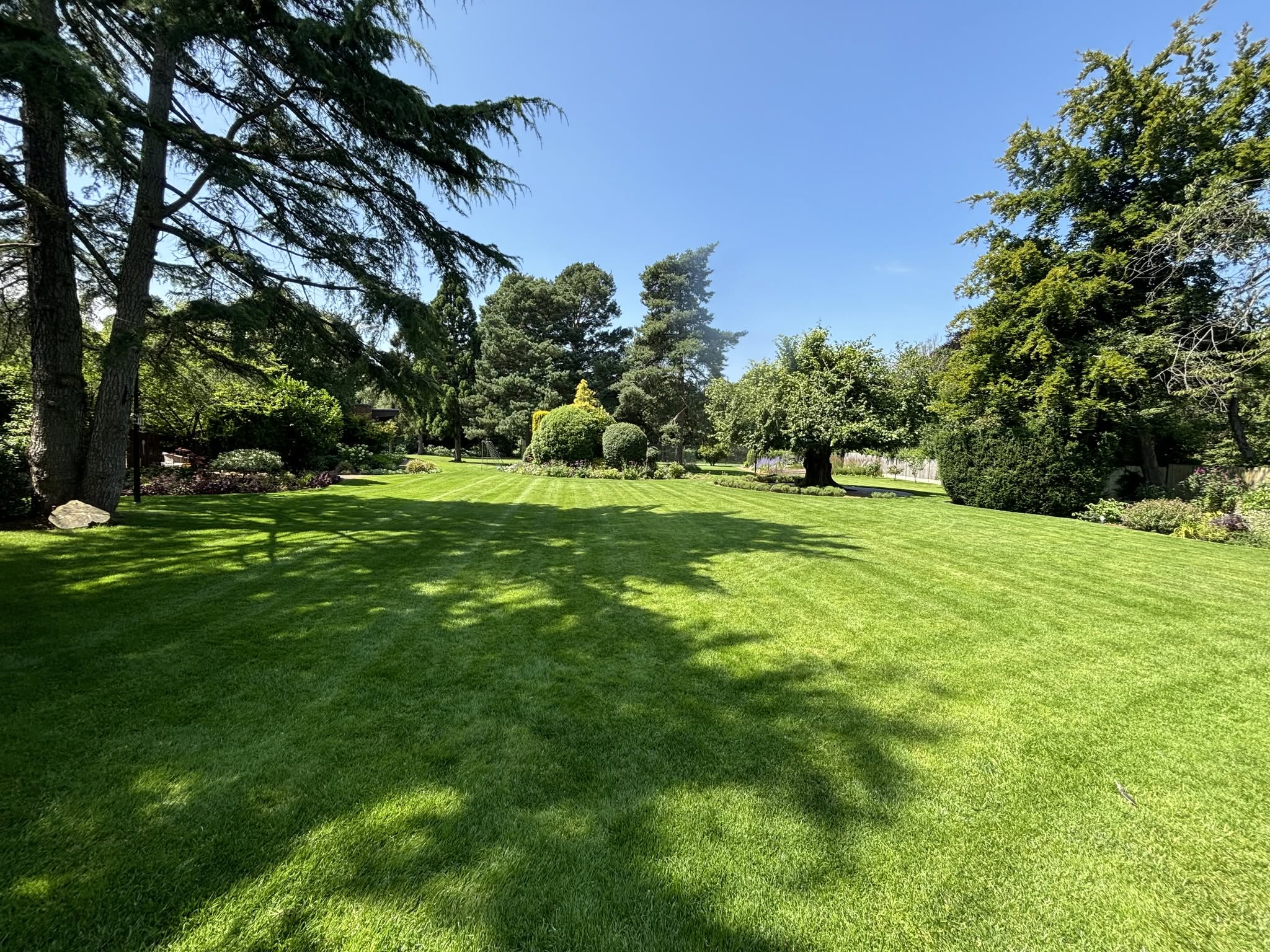 Well maintained Sudbury lawn in May before summer neglect