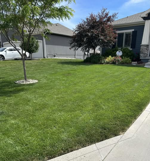 Well maintained green lawn in summer on a Garson Ontario residential street