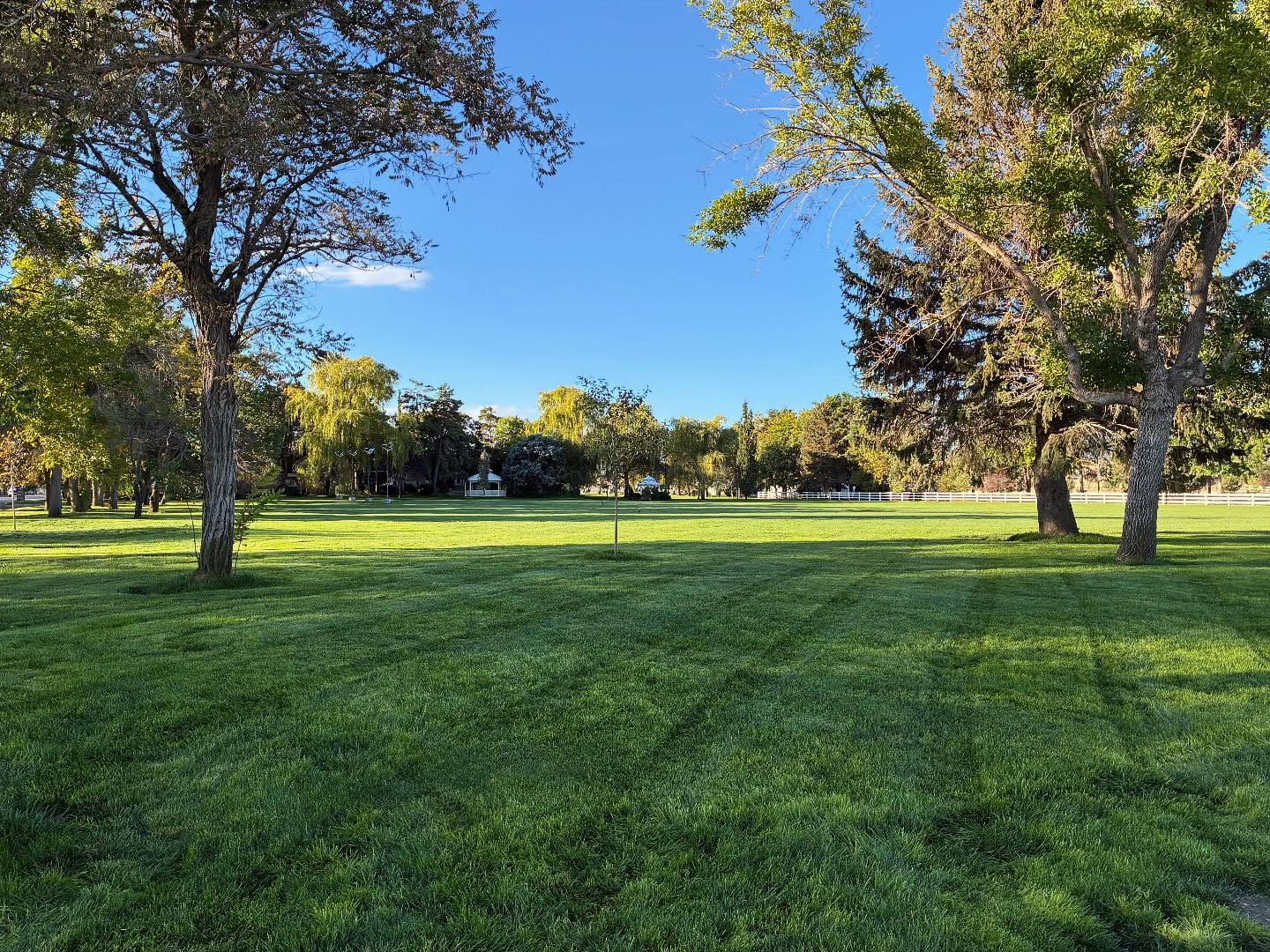 Well-maintained low-maintenance lawn in Sudbury Ontario homeowner with professional lawn care service