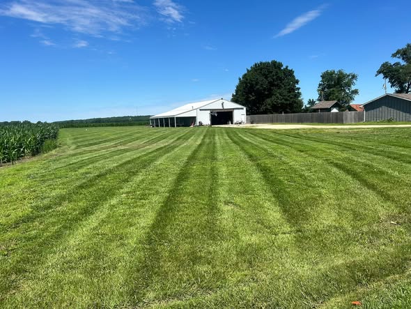 Well maintained time efficient Sudbury Ontario residential lawn showing results of smart lawn care approach