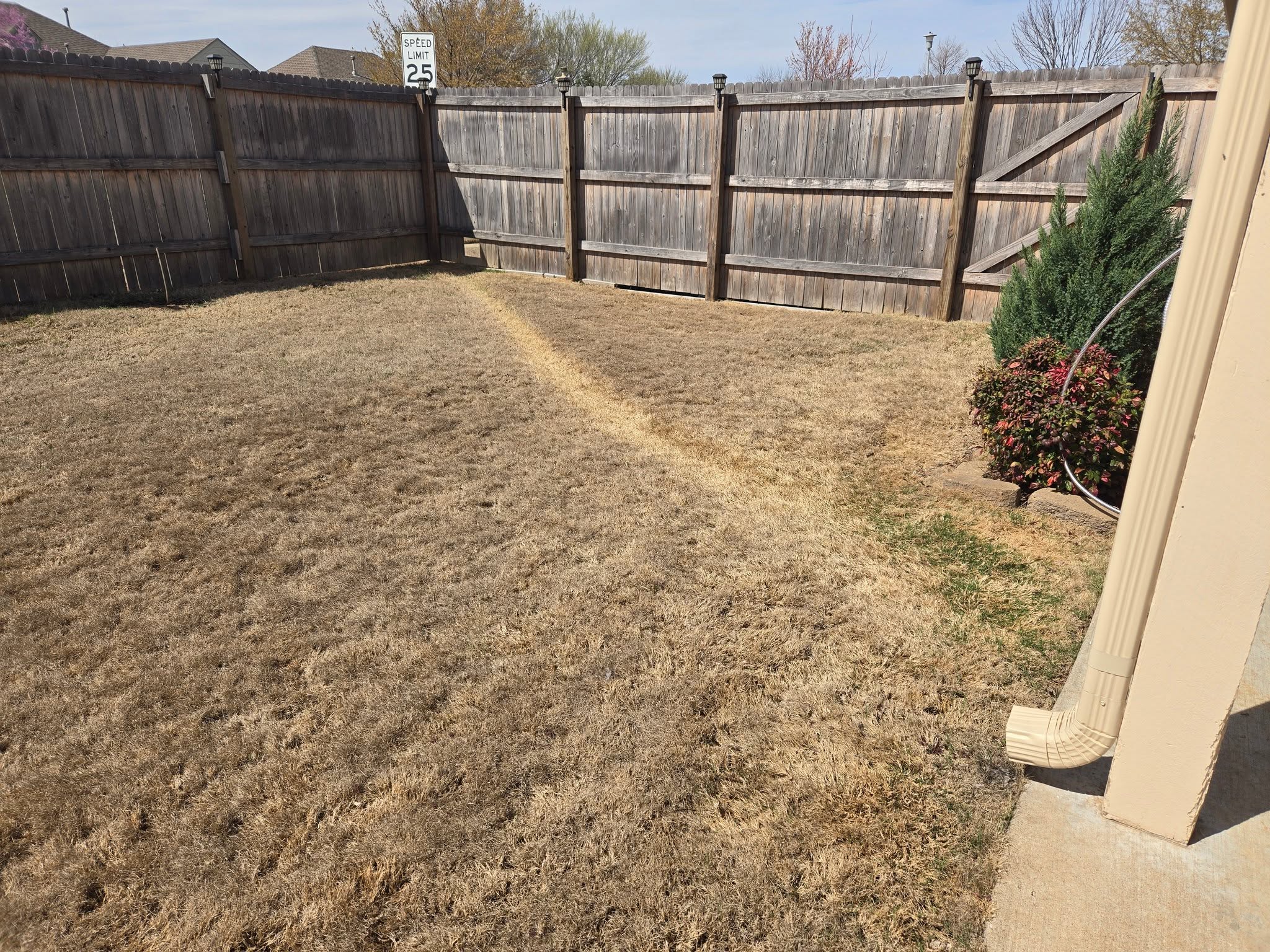 Worn compacted grass run path created by dog running along fence line on Sudbury Ontario residential lawn