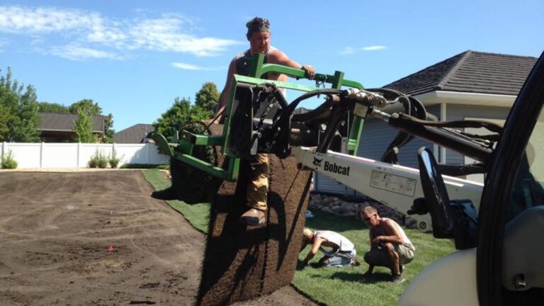 I Made 47 Sudbury Lawn Mistakes My First Year — Here Are the 5 That Still Bug Me