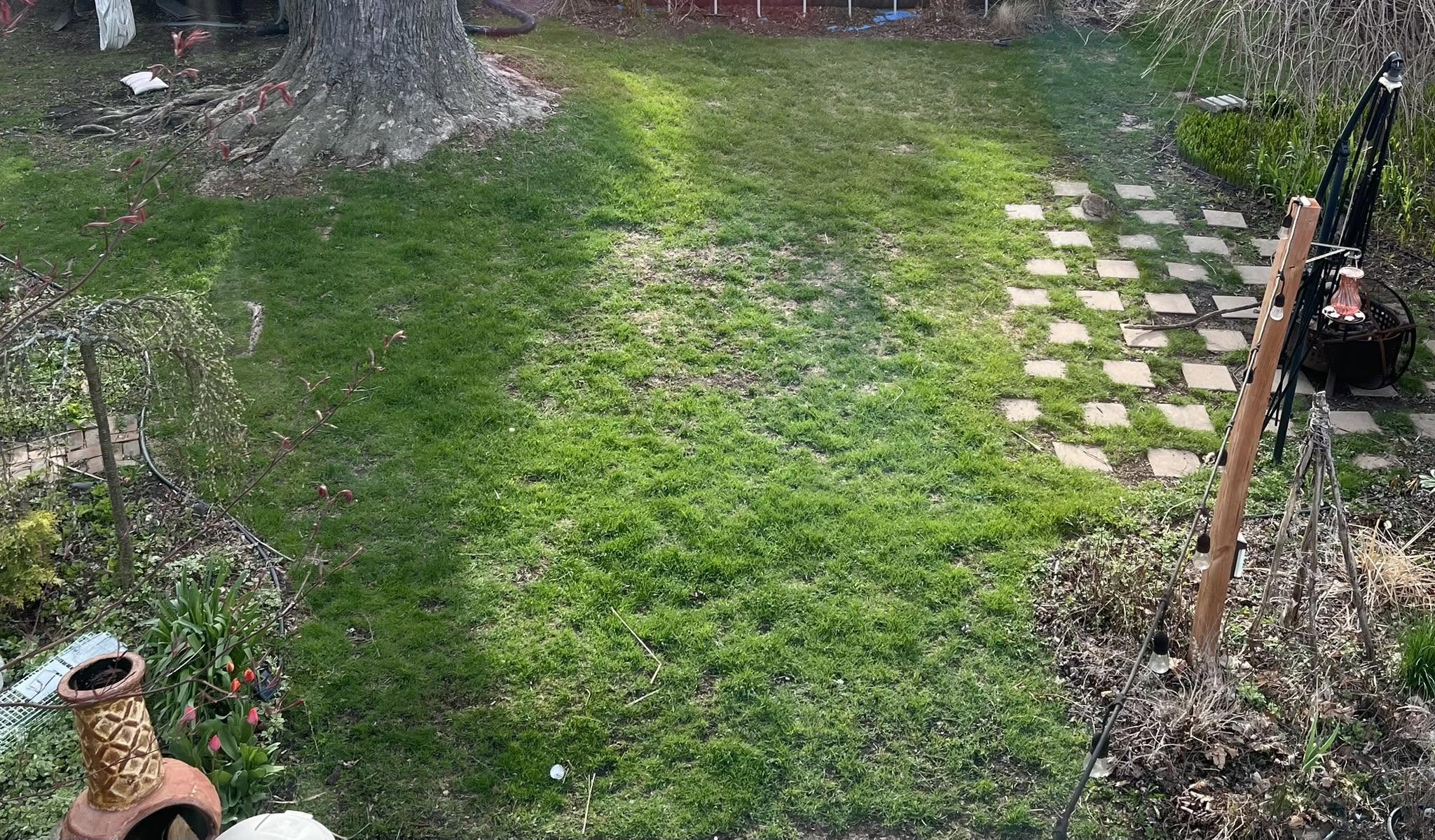 actual root cause discovery severe lawn damage investigation Greater Sudbury Ontario unexpected finding