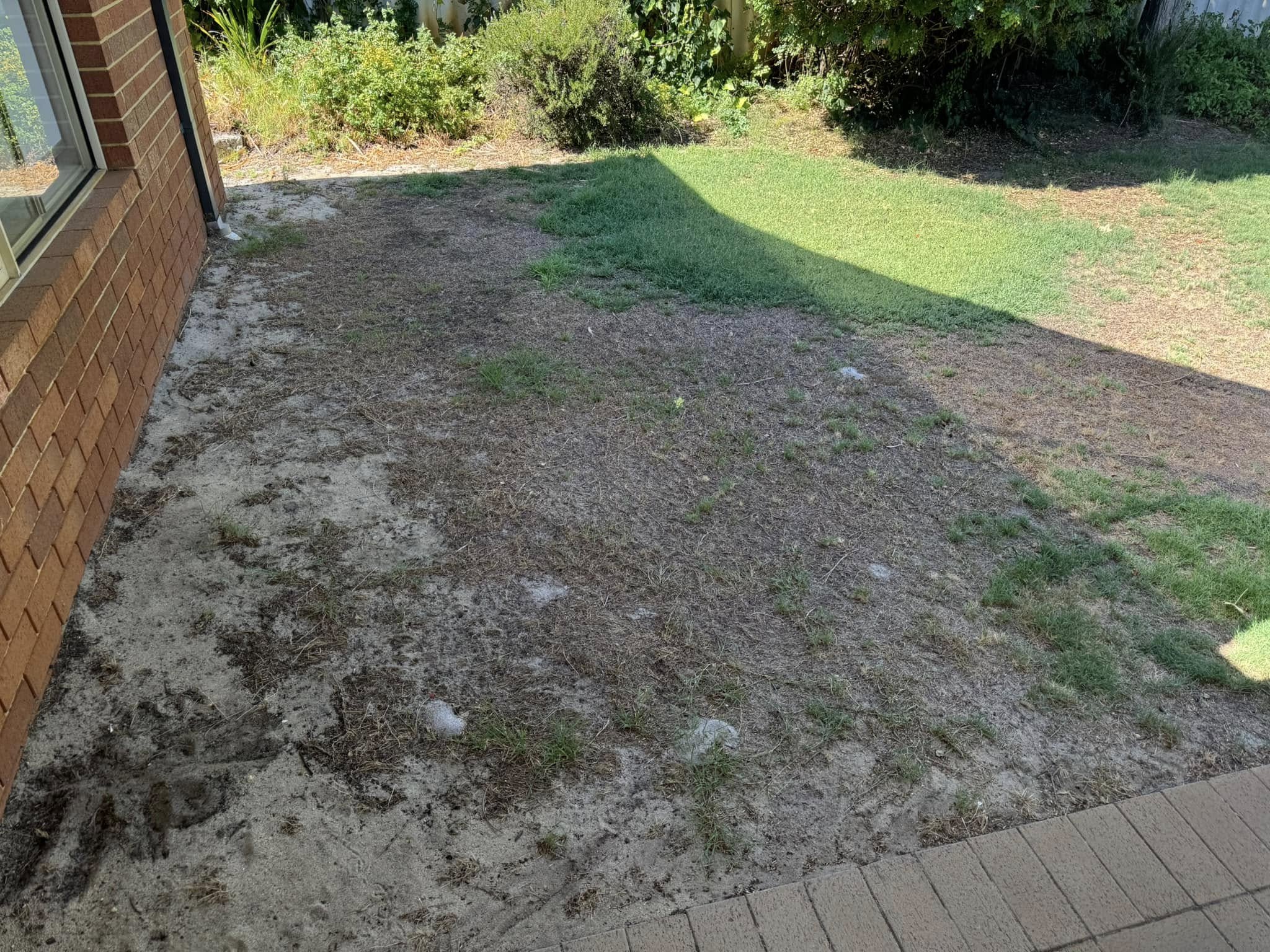 clay soil compacted residential lawn Greater Sudbury Ontario unique lawn care conditions