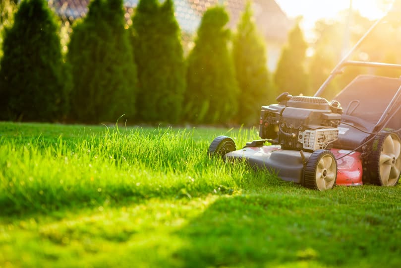 common lawn mowing mistakes cutting too short wet grass residential lawn Sudbury Ontario