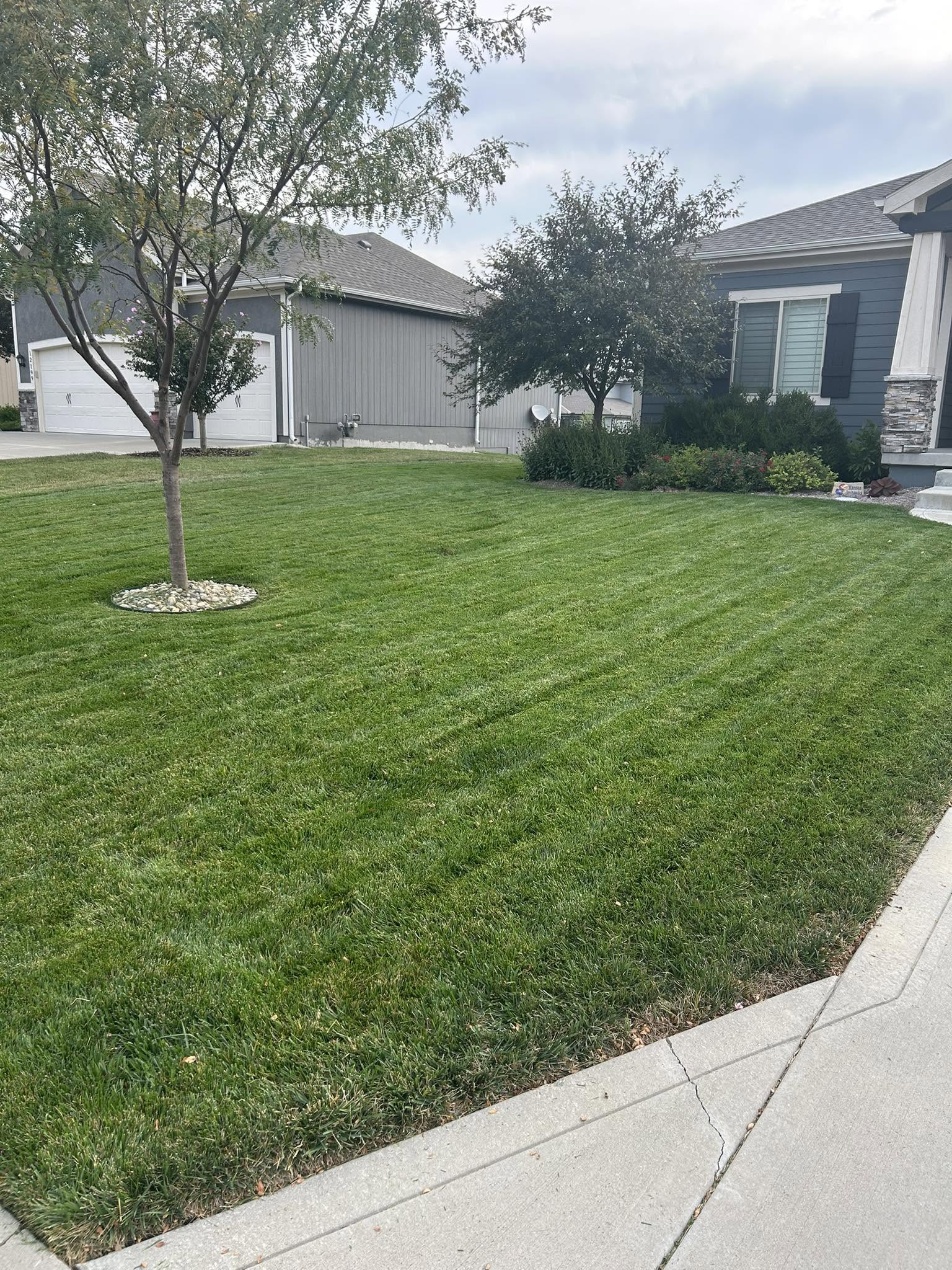 consistent versus inconsistent lawn care pattern residential properties Greater Sudbury Ontario comparison