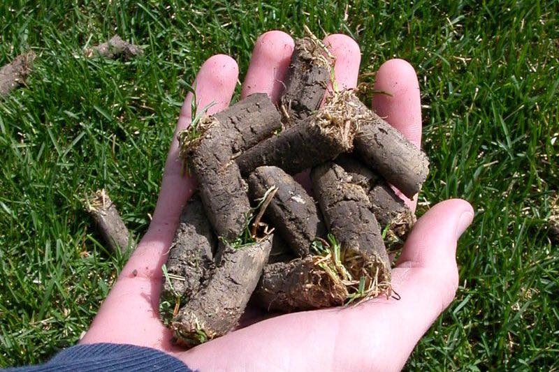 core aeration plugs residential lawn Greater Sudbury Ontario spring treatment