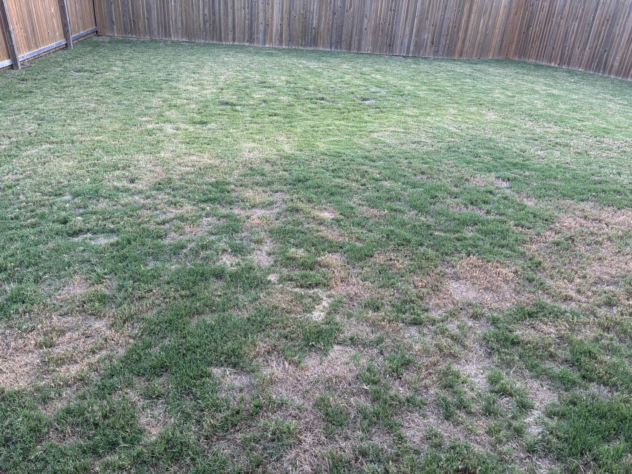 damaged patchy stressed residential lawn Greater Sudbury Ontario homeowner distressed