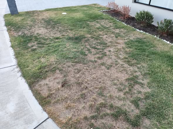 dry crunching lawn underfoot heat stress Greater Sudbury Ontario summer early warning sound diagnostic