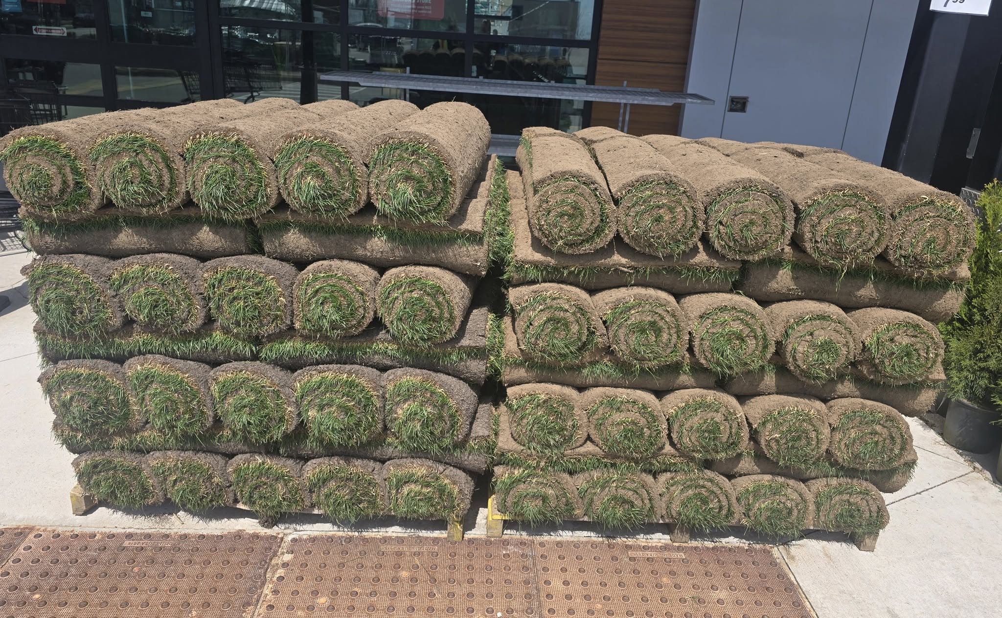 fresh quality sod rolls stacked pallet supplier delivery Sudbury Ontario